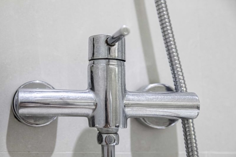 Leaky Shower Repair in Denver, CO