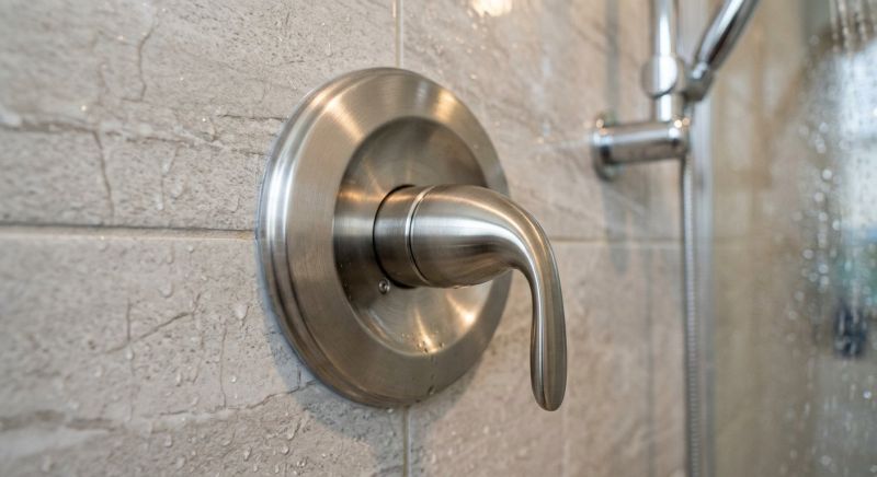 Shower Faucet Repair in Denver, CO