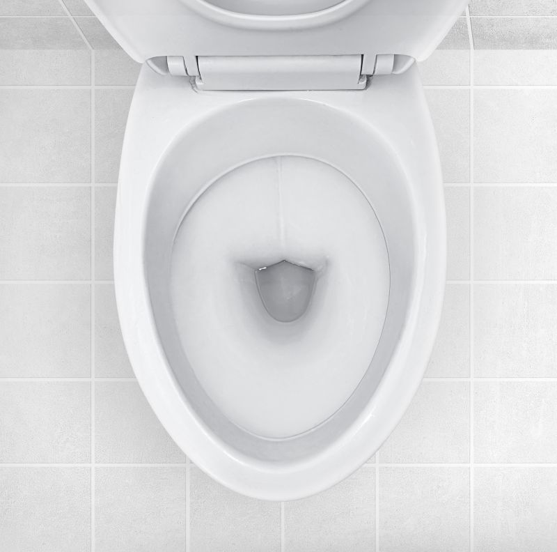 Toilet Installation Service in Denver, CO