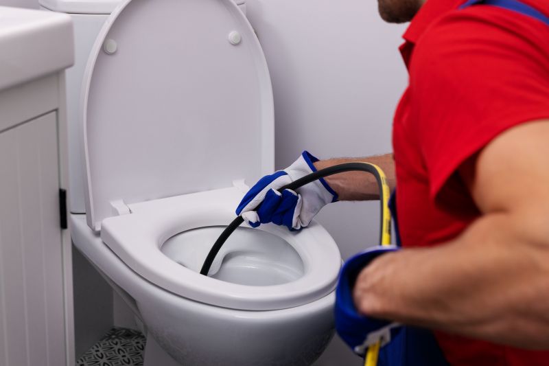 Toilet Plunging in Columbus, OH